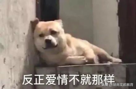 一个女儿的考研辛酸经历,考研学生有多辛苦