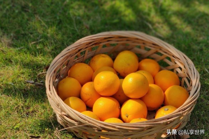 中国哪的橙子最出名,中国哪的橙子好吃产地排名
