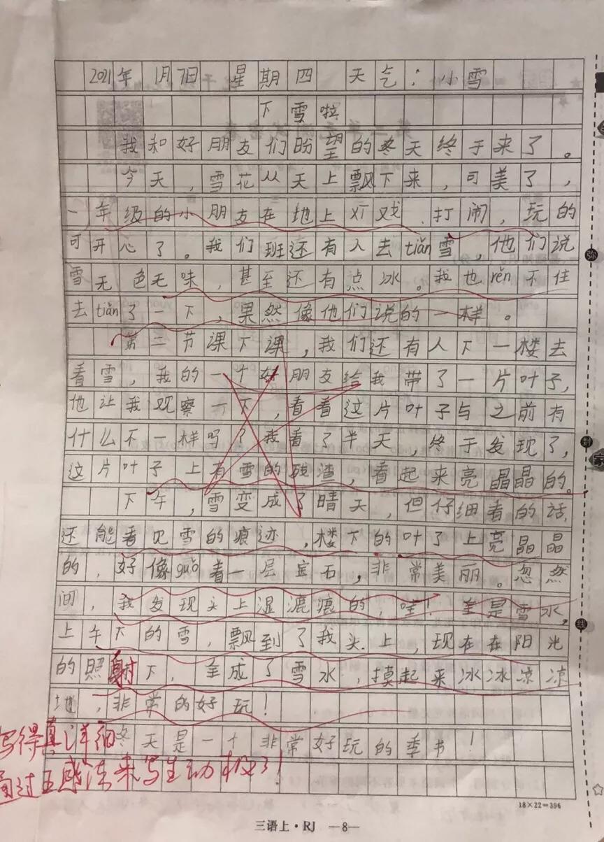 播下一颗种子收获一份快乐,播下一粒成长的种子