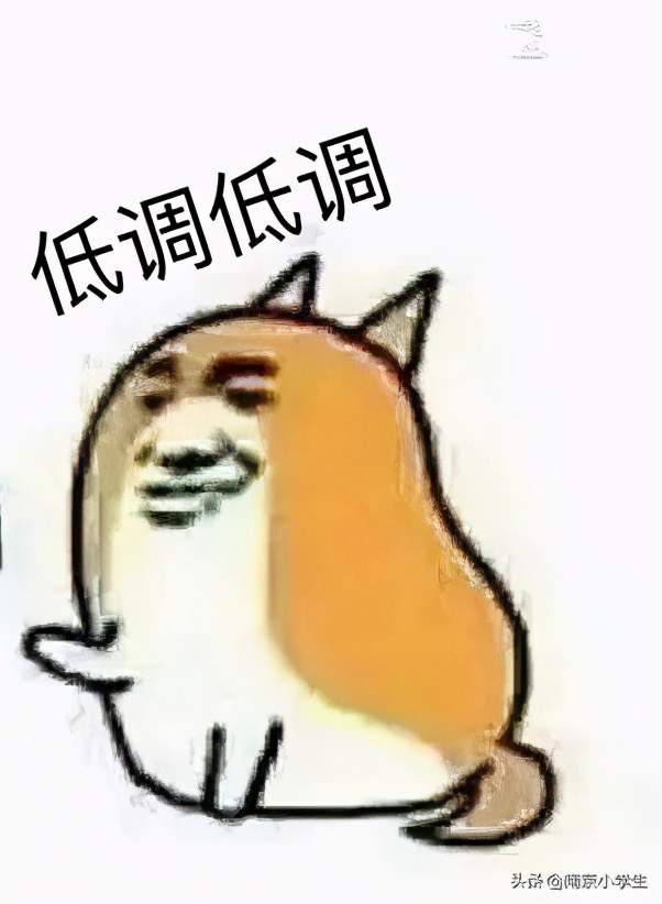 又一校区挂牌！网友说：都是名校，都在“沸腾”……