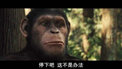 问谁主沉浮全文,中国足球亚洲之巅恒大