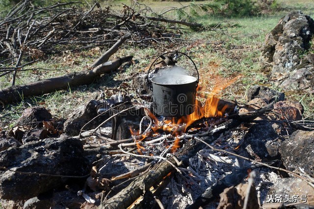 茶叶的清香伴随着淡淡的苦涩味道,茶叶的酸甜苦涩是因为什么呢
