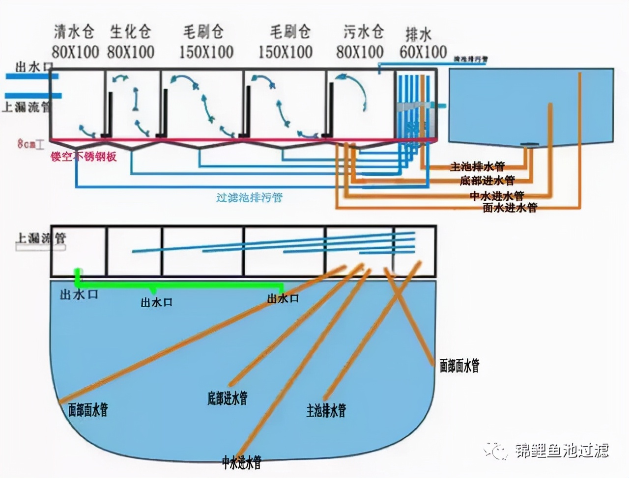 养锦鲤用过滤桶过滤系统,锦鲤鱼池沼泽过滤与生物过滤