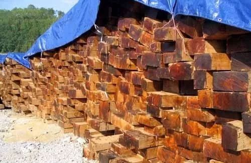 柚木凭什么被称为万木之王,万木之王缅甸柚木纯手工打造