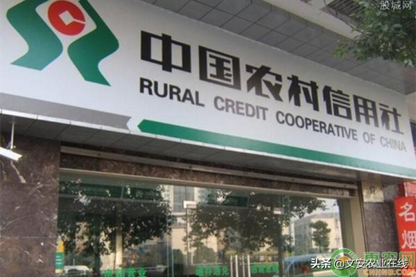 在农村创业，这四种*款贷**能享受“免息”优惠政策！