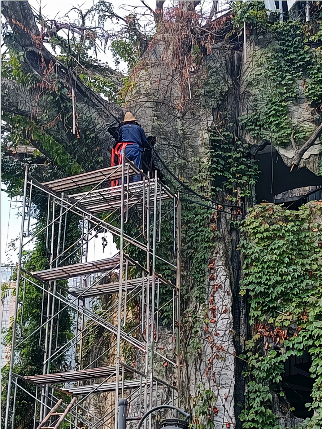 开元物业最新进展,开元物业发展战略