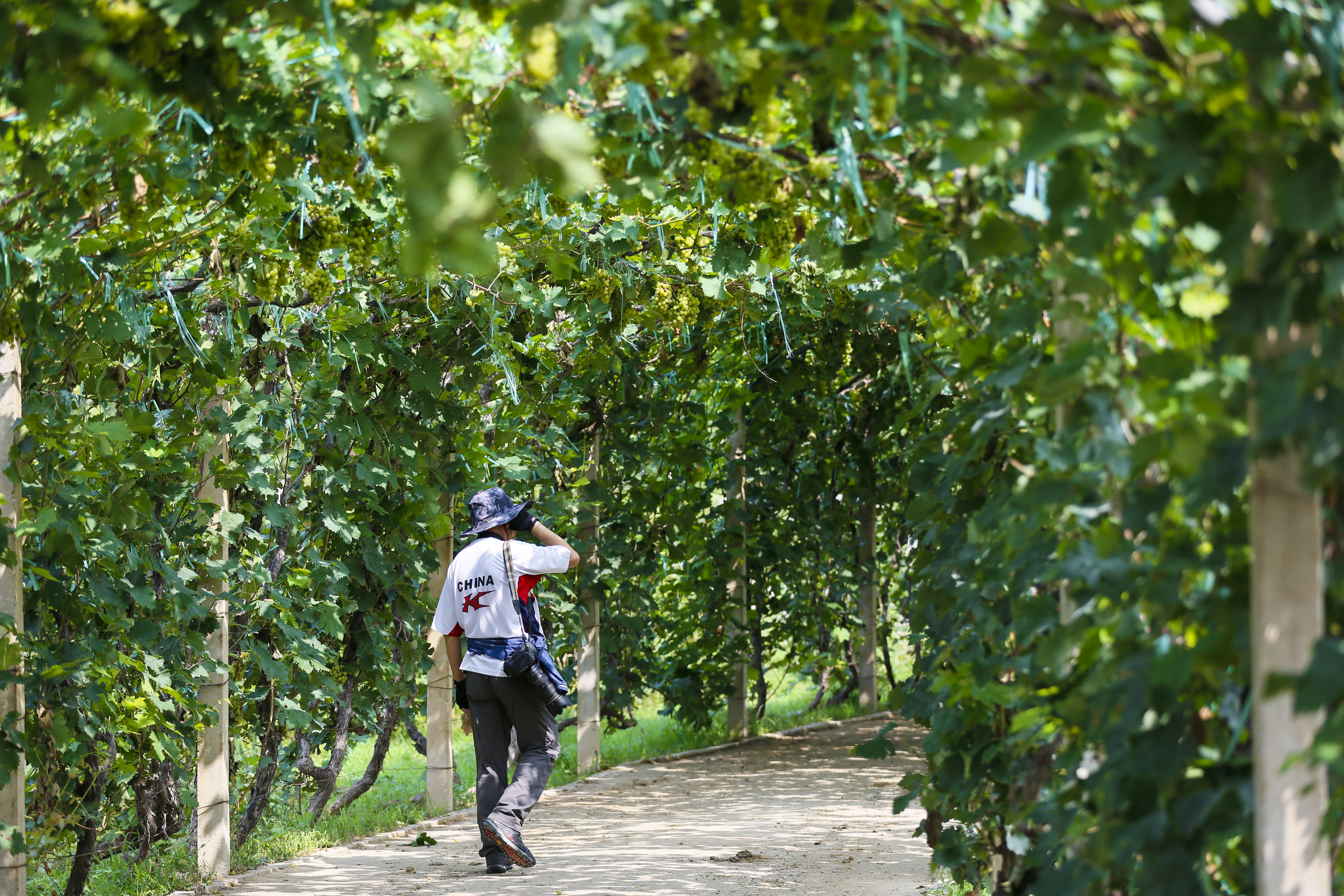 聊城姜堤乐园和周公河乐园哪个好,聊城姜堤乐园附近景区