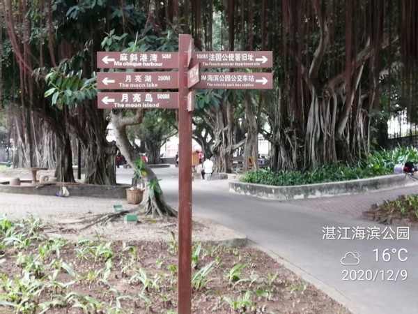 南国景色不曾秋,四时风光长如春,四)——广东行随笔之湛江篇