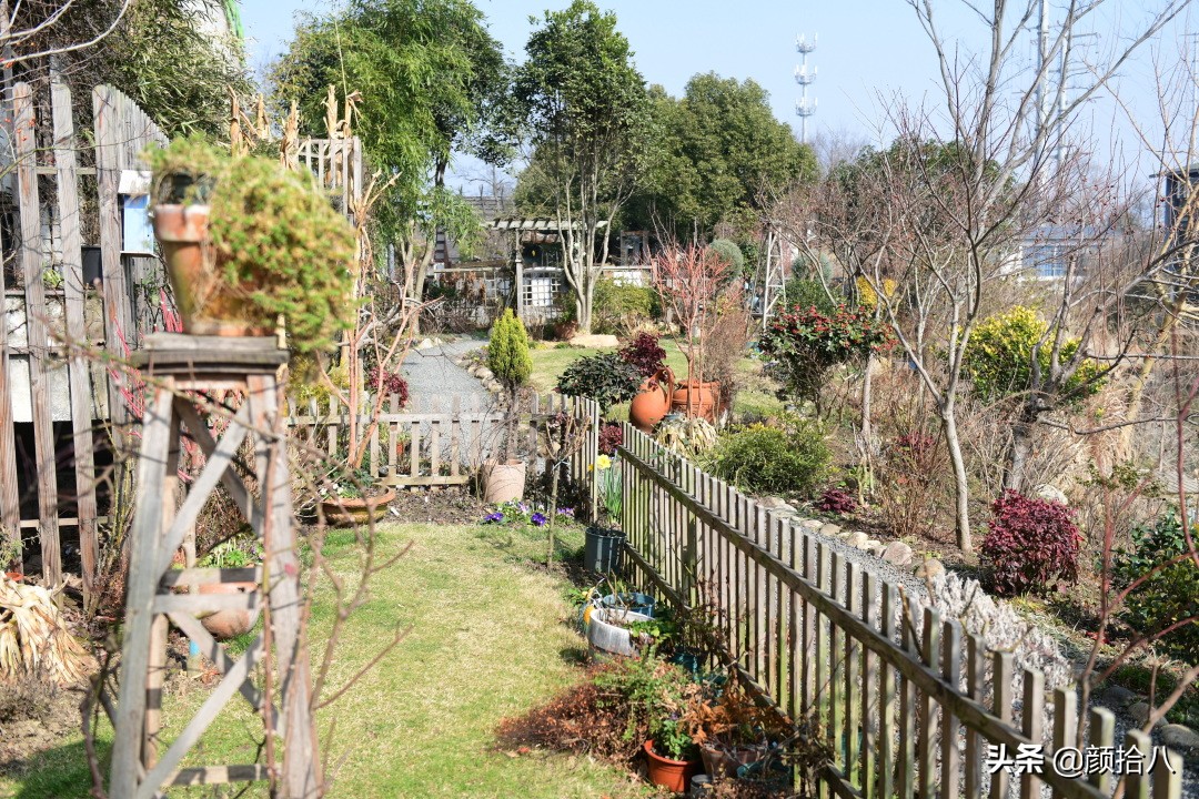 就趁现在，花园最忙碌的季节|园丁