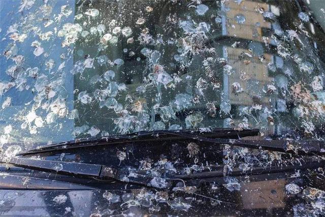 广告墙胶水如何去除,去除广告胶