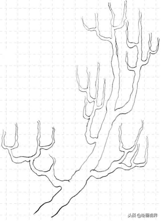 钢笔画入门教程花鸟,钢笔画入门基础教程人物