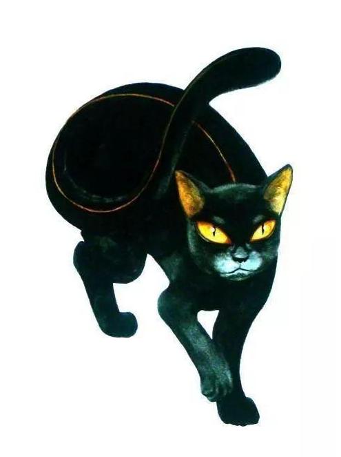 来看看你家猫在古代叫什么名字,古代猫咪花色名称大全