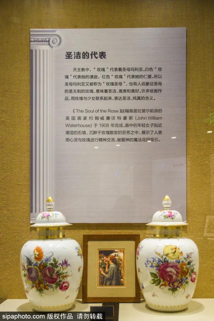 全球最美十大花海美到令人心醉,全球最漂亮花海