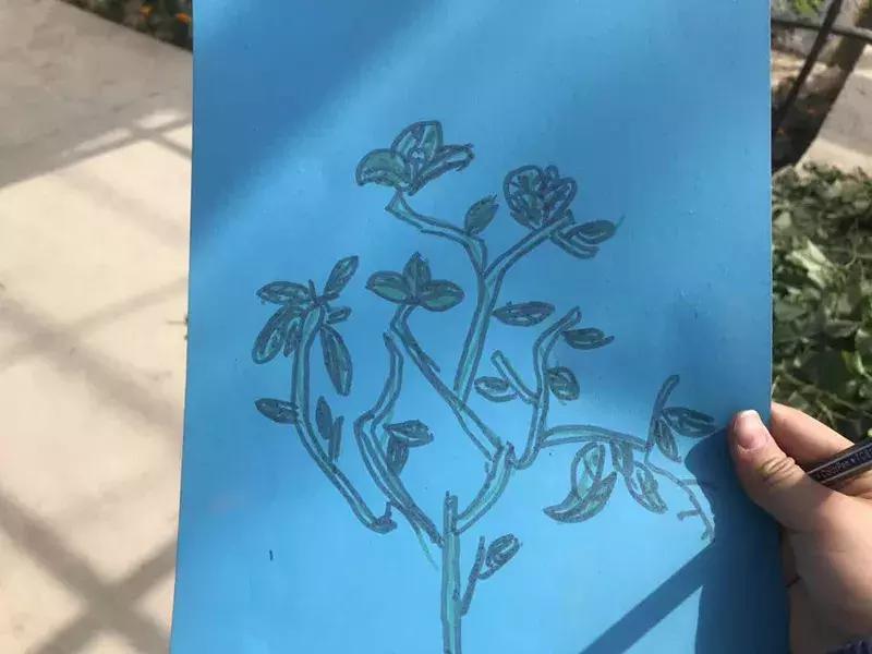 【益西户外营地教育】金川第六小学野狐湾自然研学营圆满结束！