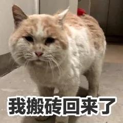 玩游戏就能赚几千,玩游戏赚钱一个月能赚多少