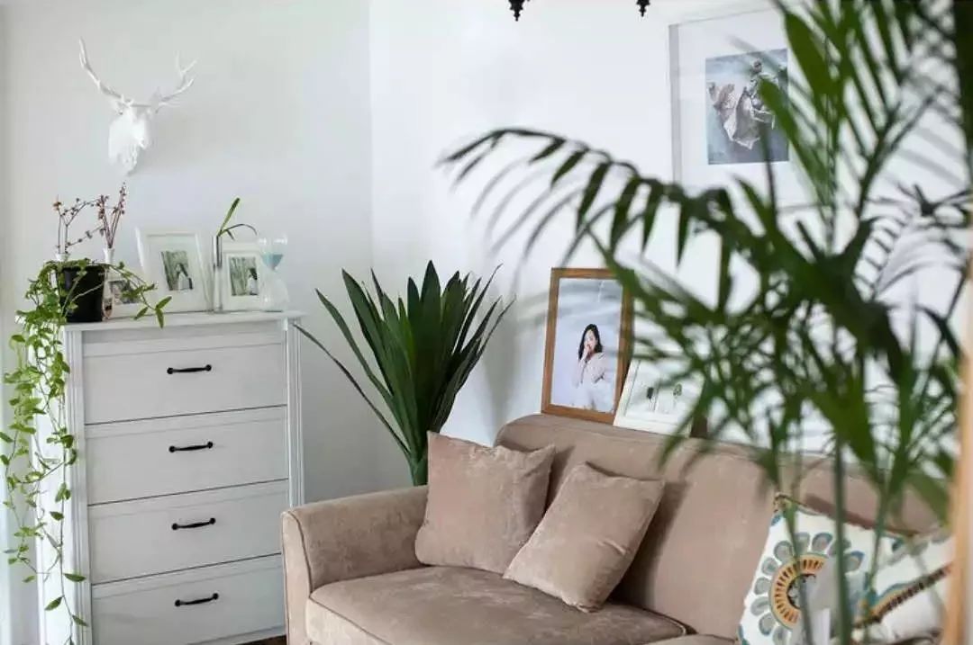 小夫妻98㎡家意外走红!登北京地铁广告,这个家才是都市里的奢侈