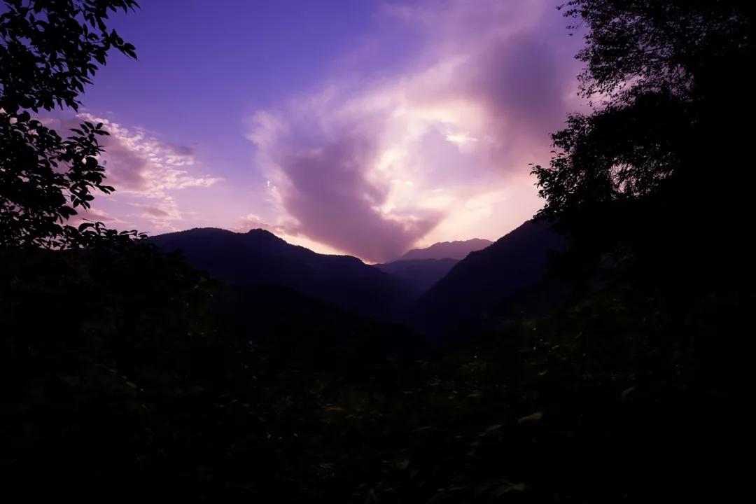 青城山别有洞天山居民宿,青城山肆禧山外民宿海拔