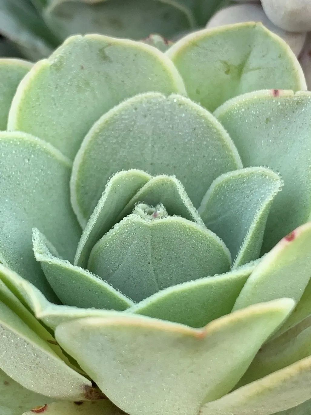 禁足的日子收获颇多,禁足