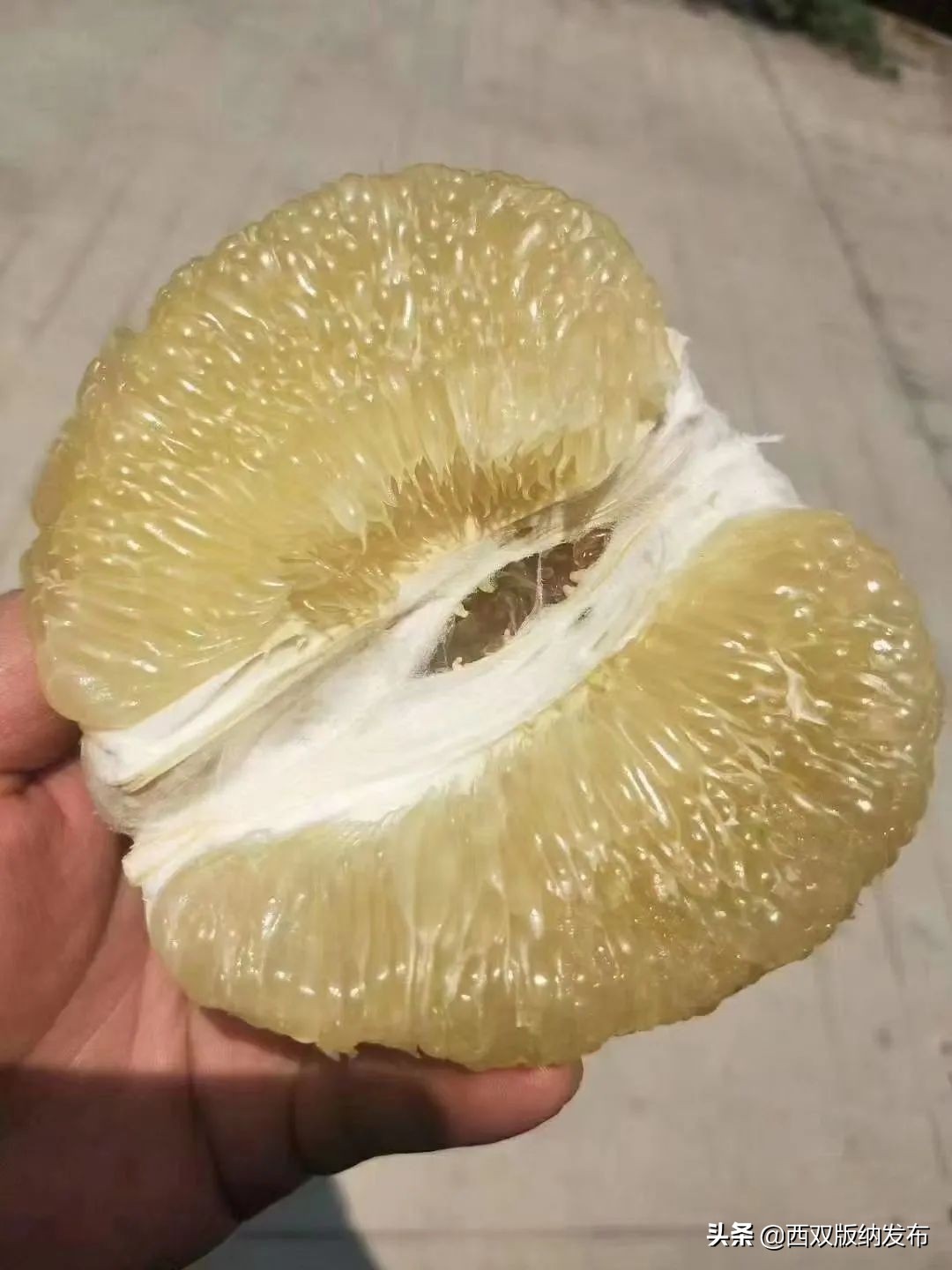 璇辨儜闅炬尅,鍕愪粦鏌氬瓙鍙堝ぇ鍙堢敎