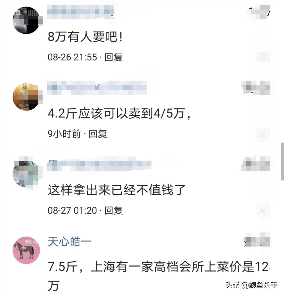 渔民捕捞近5000斤野生大黄鱼,浙江捕获野生大黄鱼