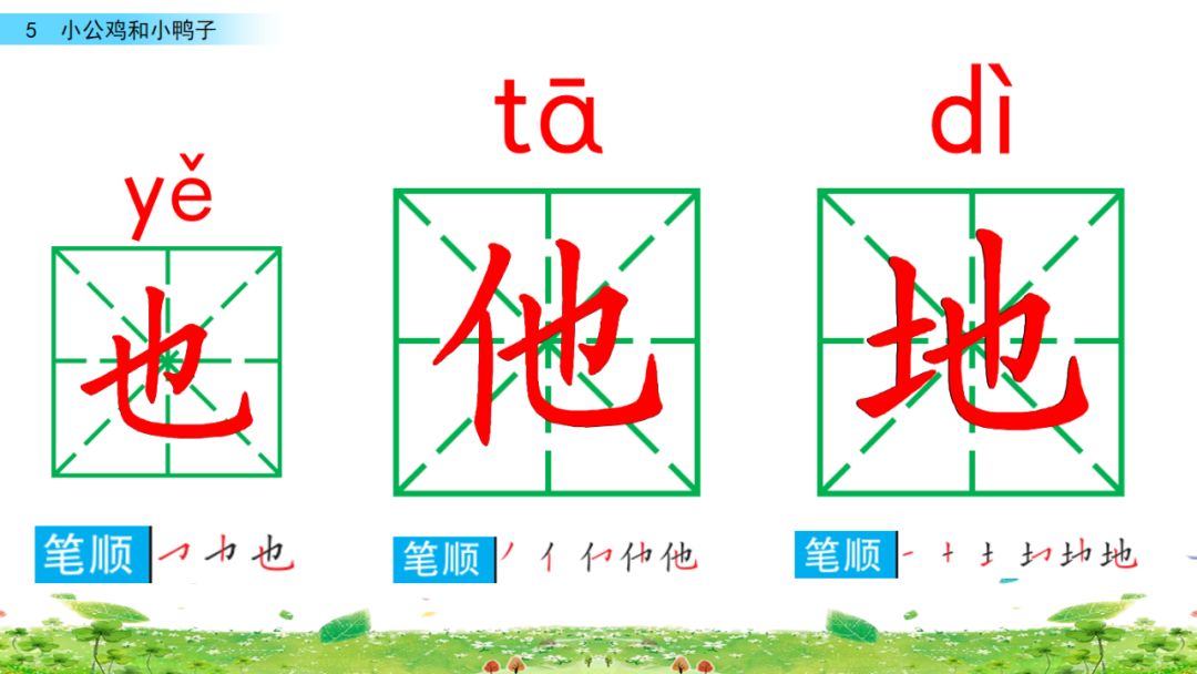 小公鸡和小鸭子一年级下册视频,一年级下语文小公鸡和小鸭子讲解