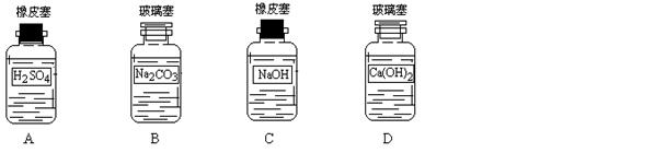 2018全国化学中考复习二轮专项练习-酸、碱、盐及化肥