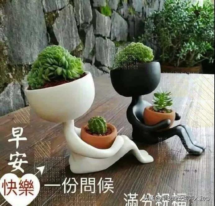 早上好问候语带字动态图片大全,每日问候早上好表情动态图片带字