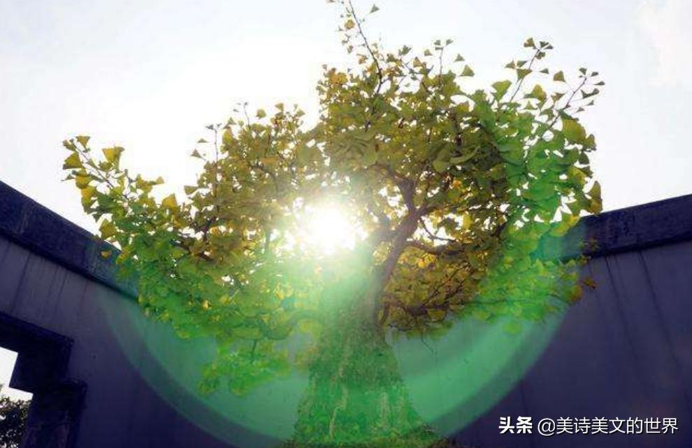 李白被嘲讽写下的诗词,李白骈文