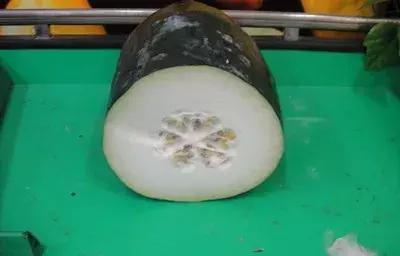 厨余废物怎么处理,餐厨边角料利用