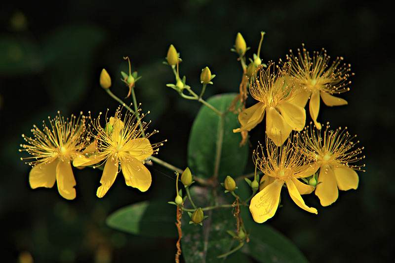 脾气大的人其实非常实在可靠,脾气大的人有哪些症状
