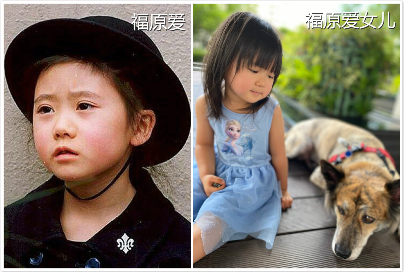 29岁福原爱全家福,福原爱生活照曝光