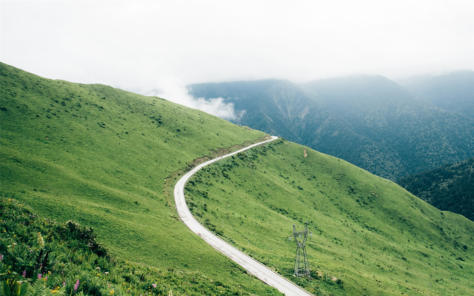 怎么学会与人沟通说话,提升情商与人沟通说话技巧的书籍