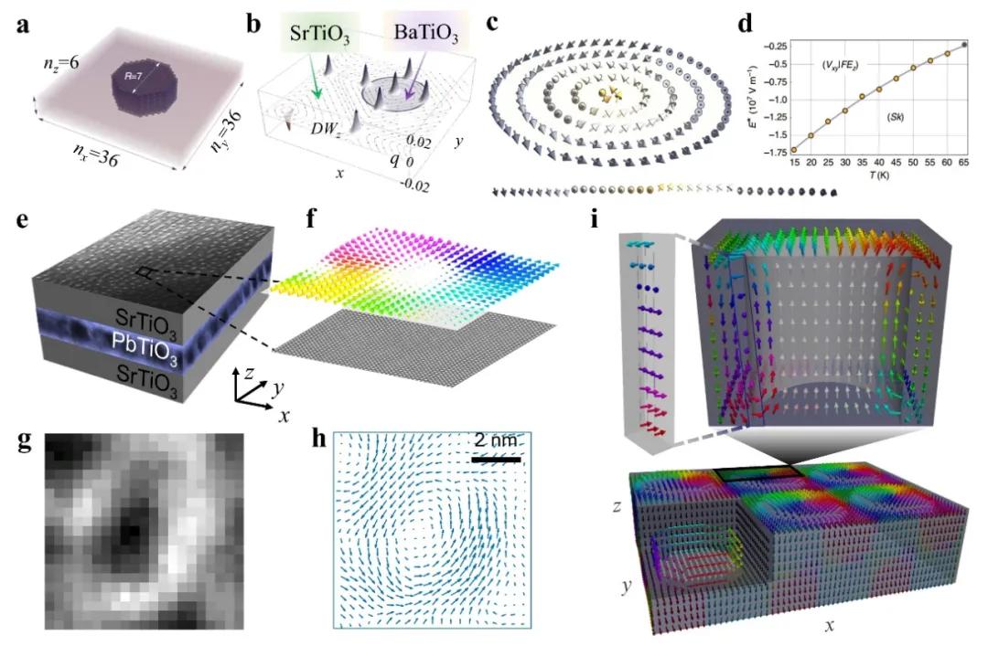 Adv.Mater:铁性薄膜和异质结拓扑结构的研究进展