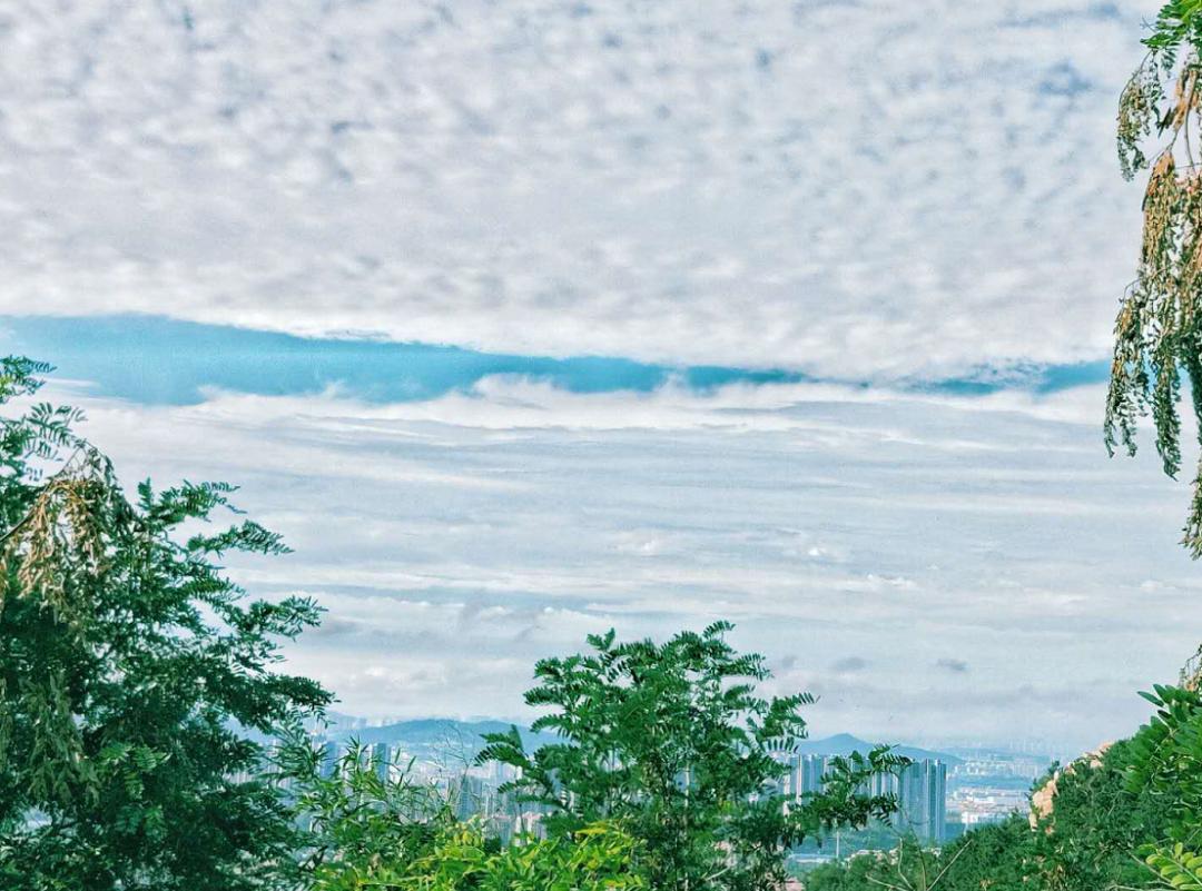 初秋的青岛有多美,初秋的青岛