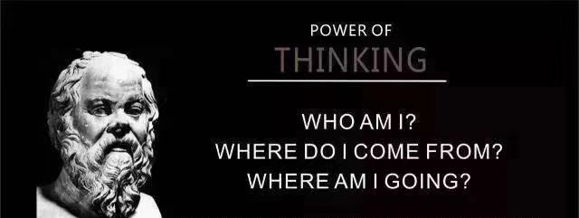 阿里动物园案例分析,阿里动物园商业分析