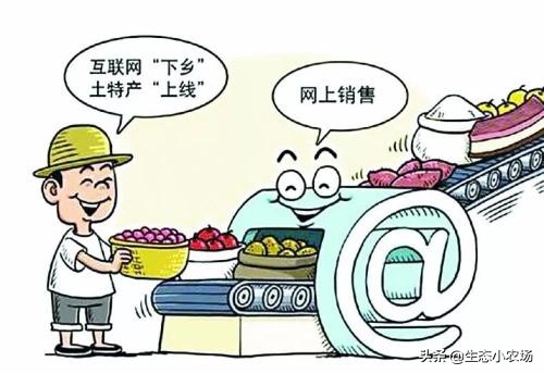 广西农村创业致富项目,100个农村创业致富故事