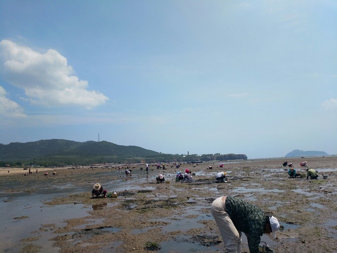 辽宁大连有一个岛,辽宁大连旅游岛屿