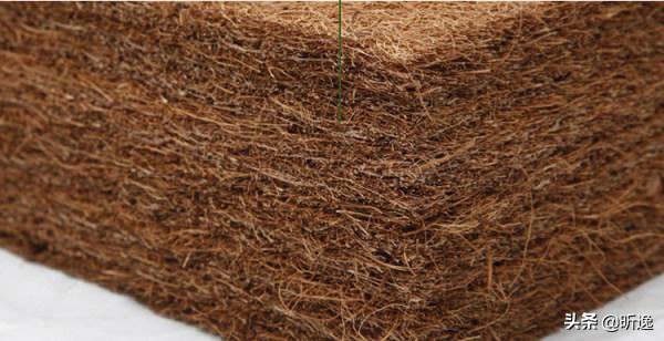 椰棕的软棕贵还是硬棕贵,棕垫是硬棕好还是软棕好