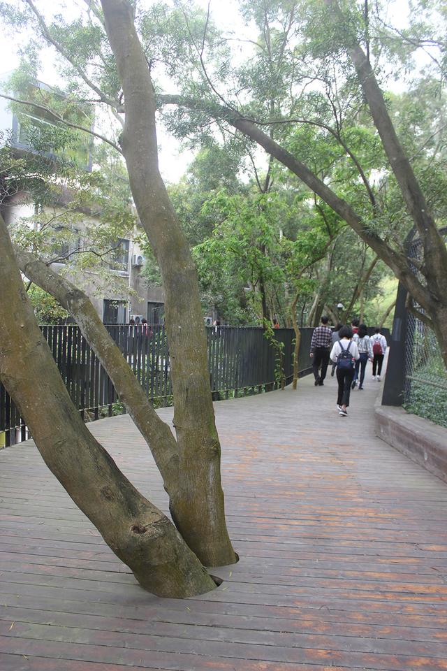 深圳明德实验学校和上南哪个好,深圳明德实验学校碧海校区排名