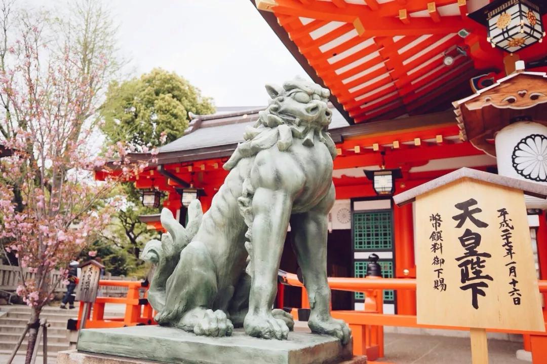 为英伦女神而生，20万日元一把的“樱和伞”，发售一小时就被抢光