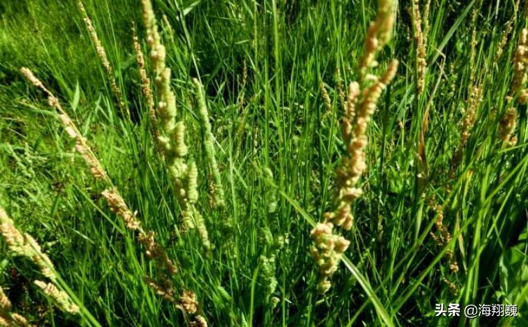 山海经第五卷小说,山海经第五篇