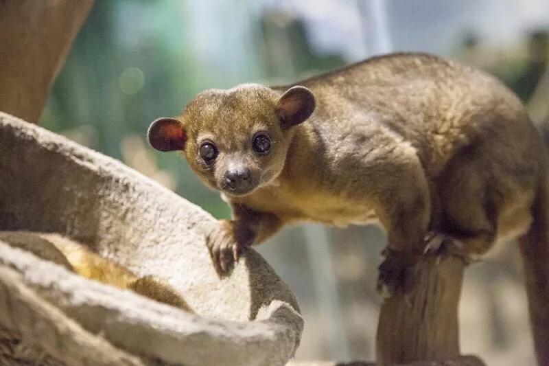 春节去哪里旅游好吃的多一点,好嗨哟吃喝玩乐