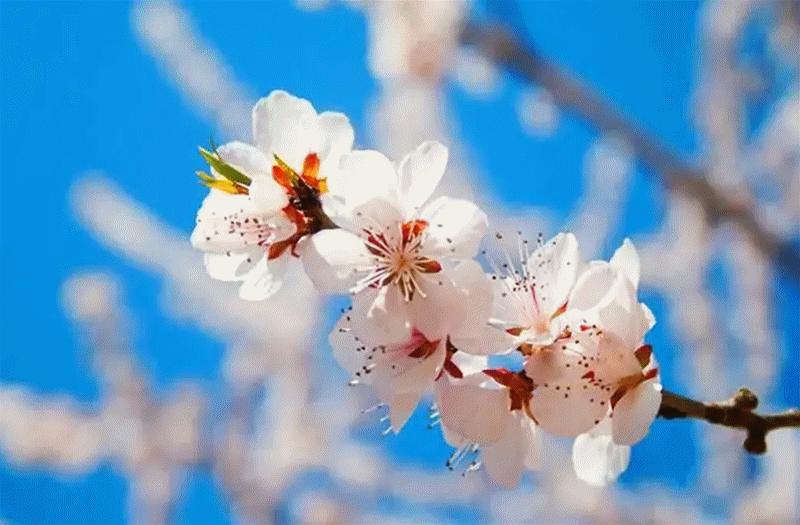 山西壶关太行山旅游攻略,壶关太行山大峡谷两日游最佳路线