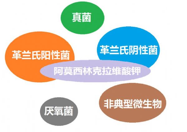 看图“话”抗菌谱，赶紧收藏