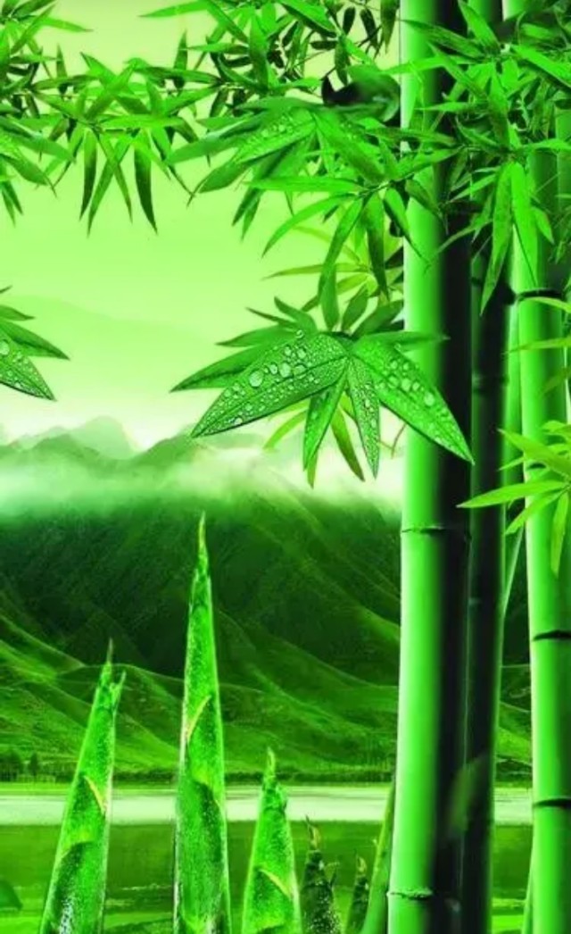 漂亮桌面壁纸,最漂亮的手机桌面壁纸