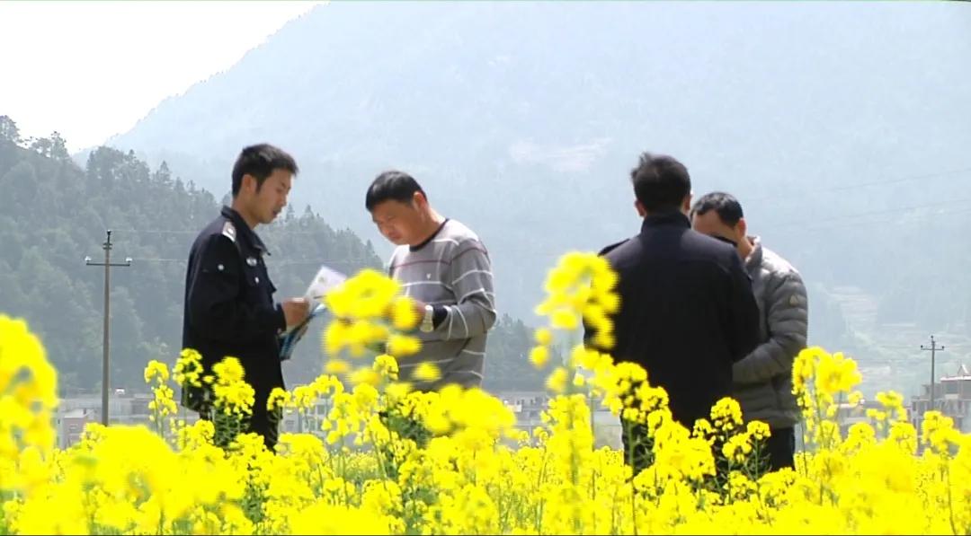 从“一村一辅警”“邵阳快警”到“宝庆大叔”，看邵阳治安的蝶变