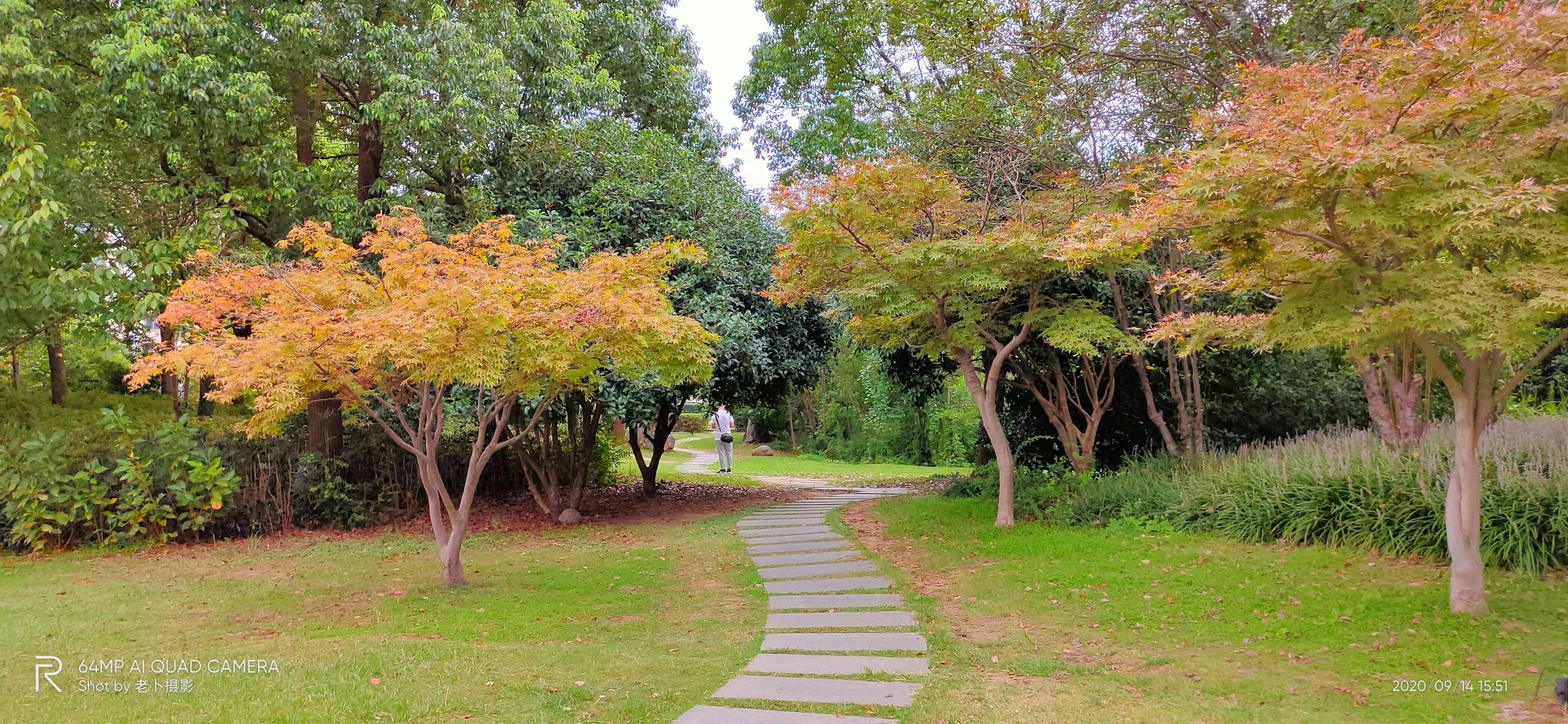 50岁回头看,五十岁回头望一望