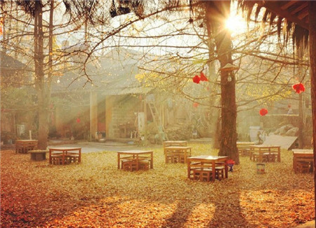 初中语文中考成语题,部编版初中语文成语