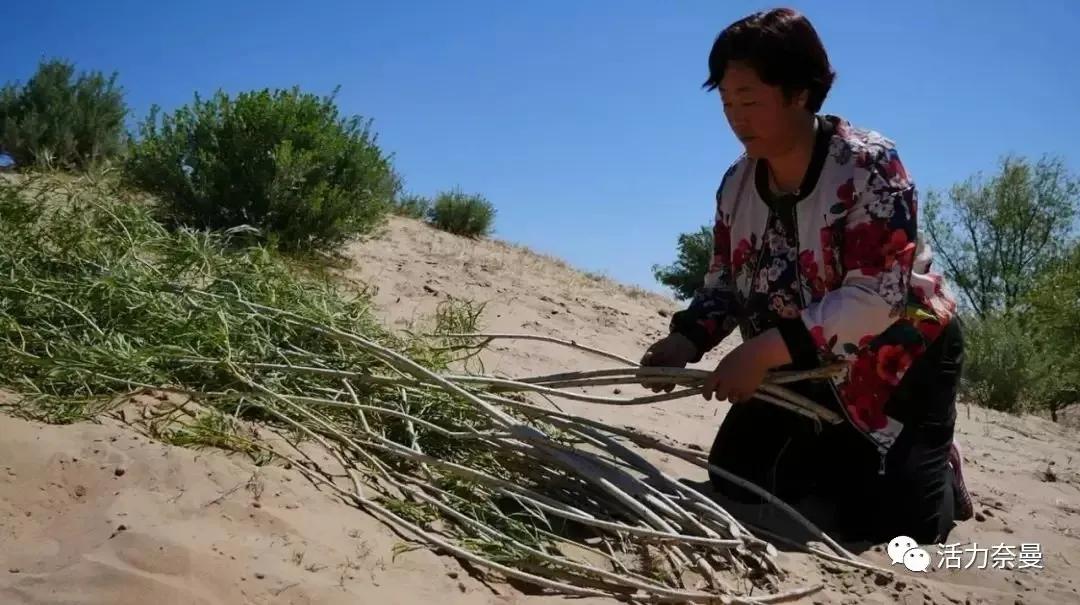 奈曼扶贫一点通,奈曼百企帮百村扶贫