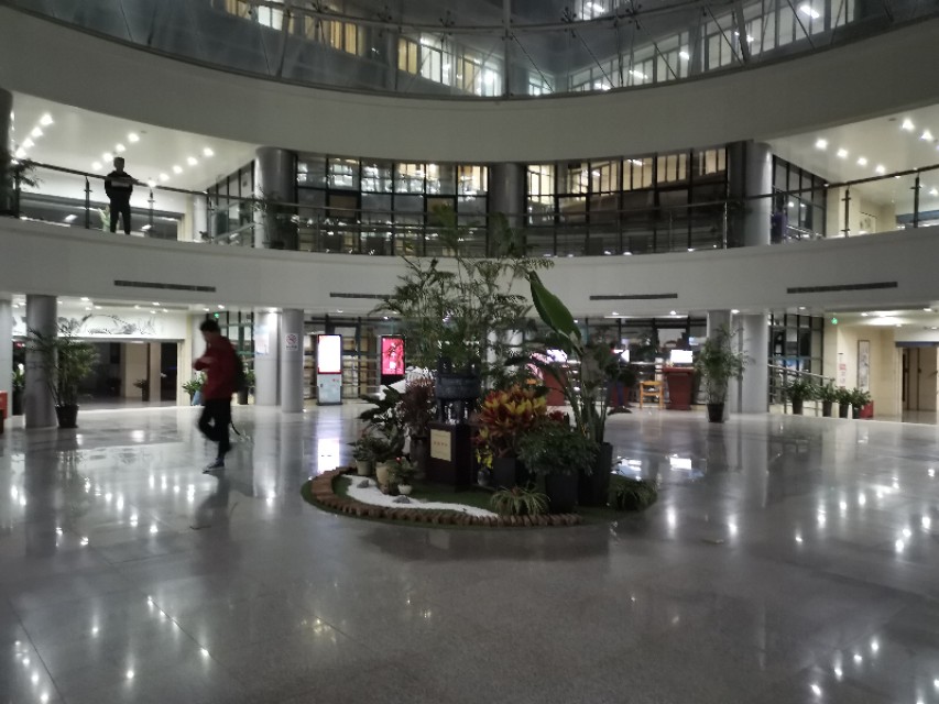 沐春简历,沐春大学